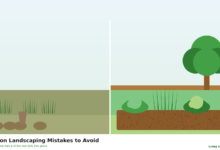Before and after illustration of a neglected versus a tidy garden