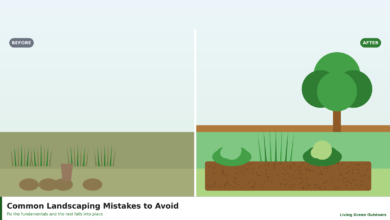 Before and after illustration of a neglected versus a tidy garden